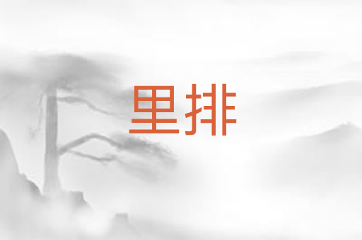里排