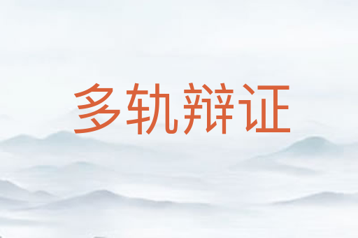 多轨辩证
