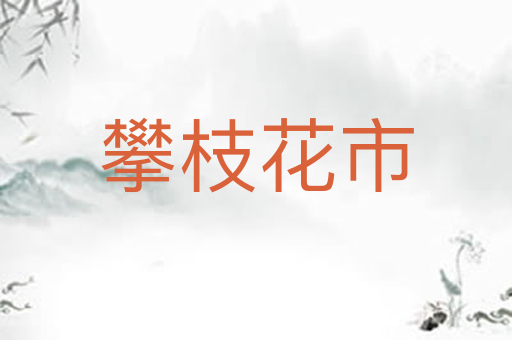 攀枝花市