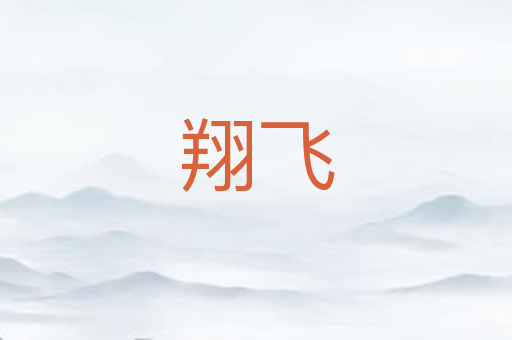 翔飞