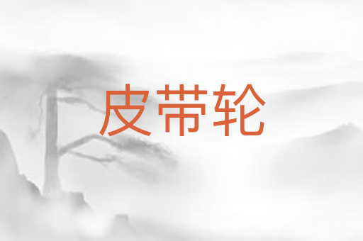 皮带轮