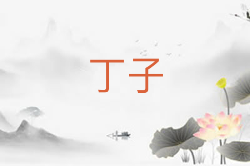 丁子