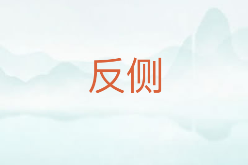 反侧