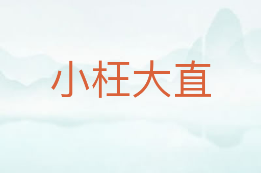小枉大直