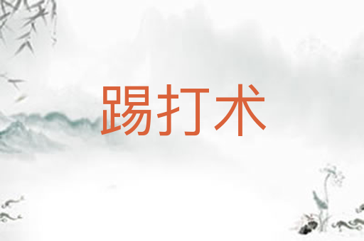 踢打术