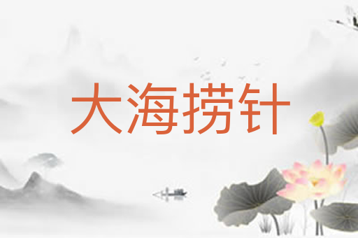大海捞针