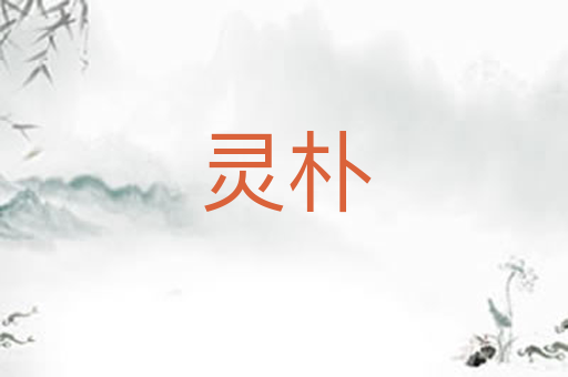 灵朴