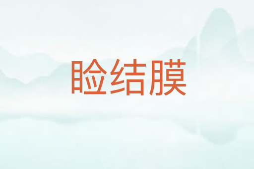 睑结膜