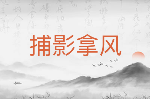捕影拿风