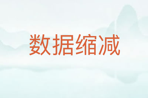 数据缩减