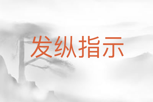 发纵指示