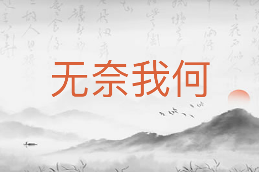 无奈我何