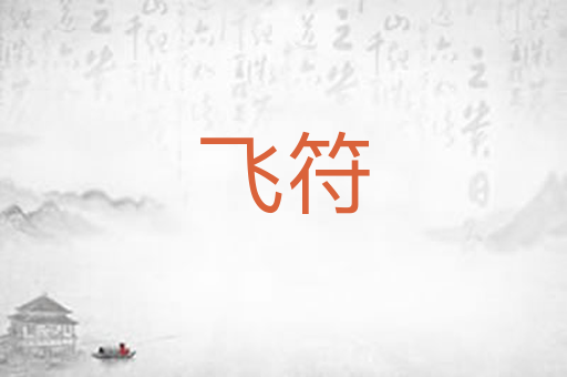 飞符