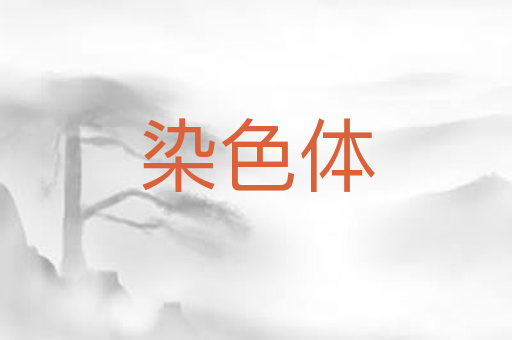 染色体