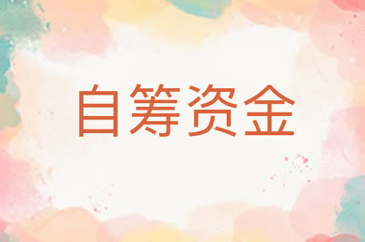 自筹资金