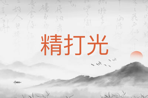 精打光