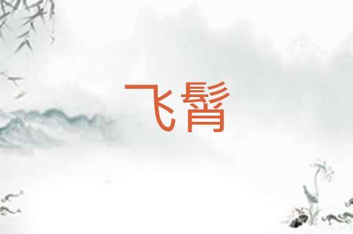 飞髾