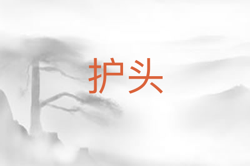 护头