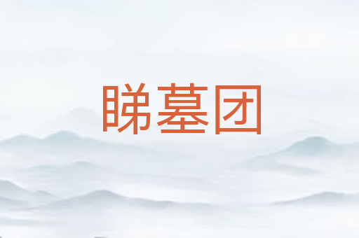 睇墓团