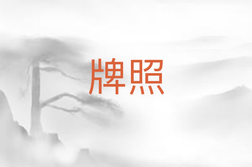 牌照
