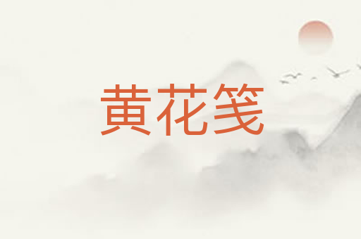 黄花笺