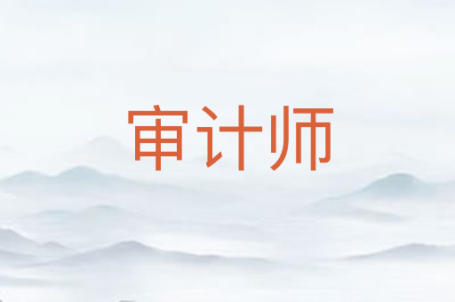 审计师