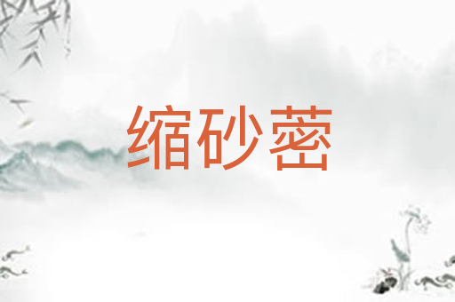 缩砂蔤