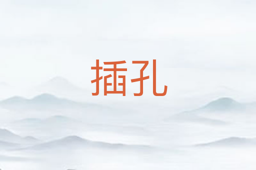 插孔