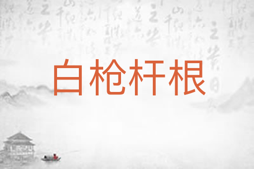 白枪杆根
