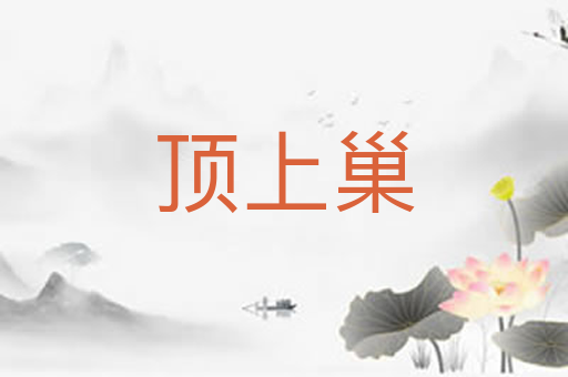 顶上巢