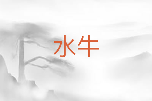 水牛