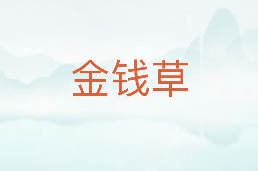 金钱草