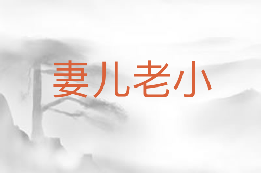 妻儿老小
