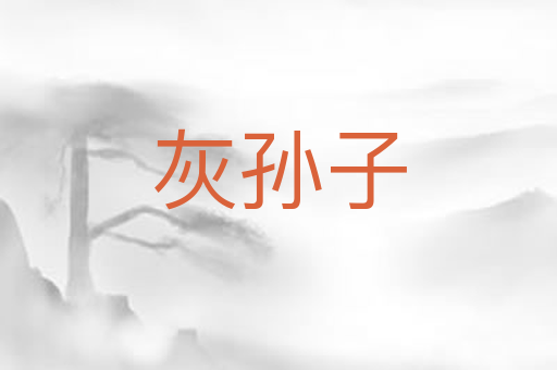 灰孙子