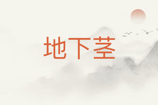 地下茎