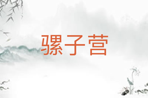 骡子营