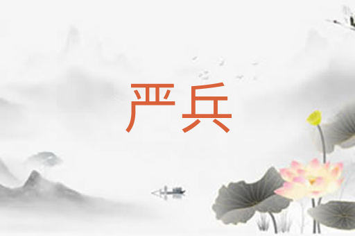 严兵