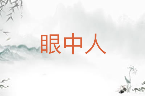 眼中人