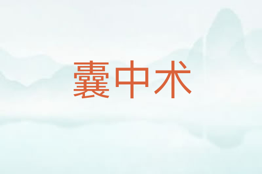 囊中术