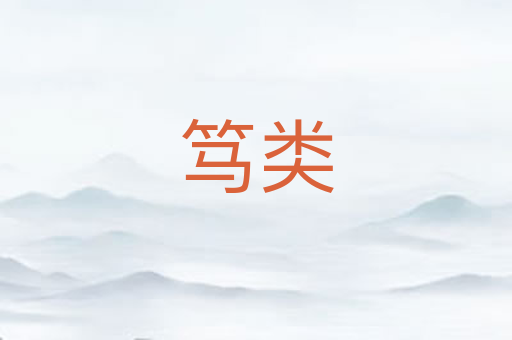 笃类