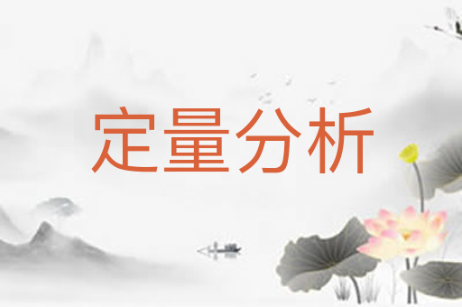 定量分析