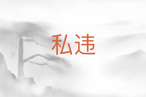 私违