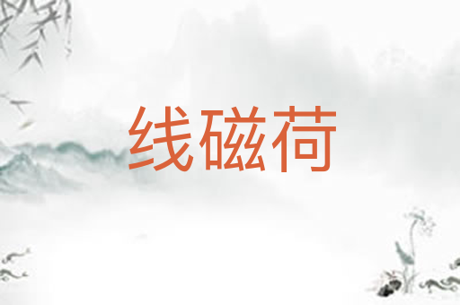 线磁荷