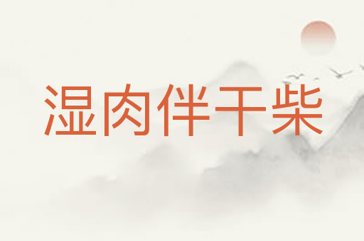 湿肉伴干柴