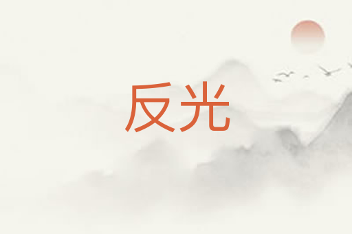 反光