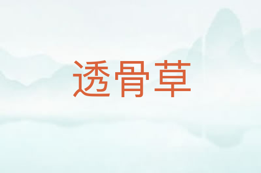 透骨草