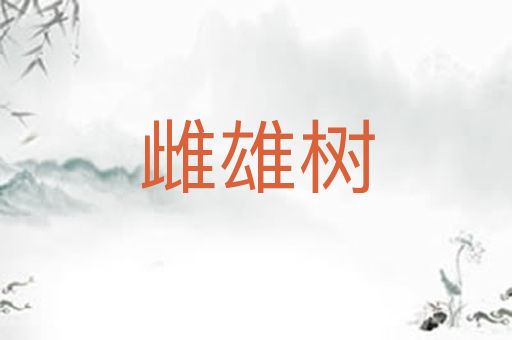 雌雄树