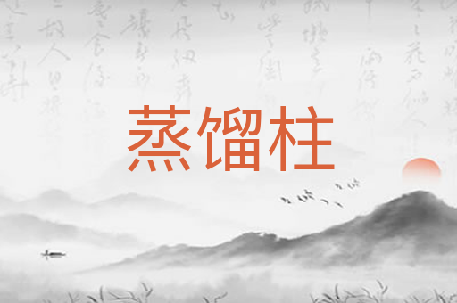蒸馏柱