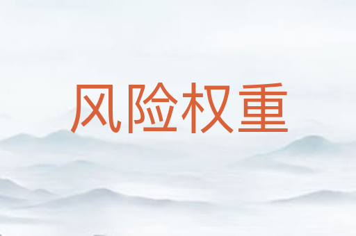 风险权重