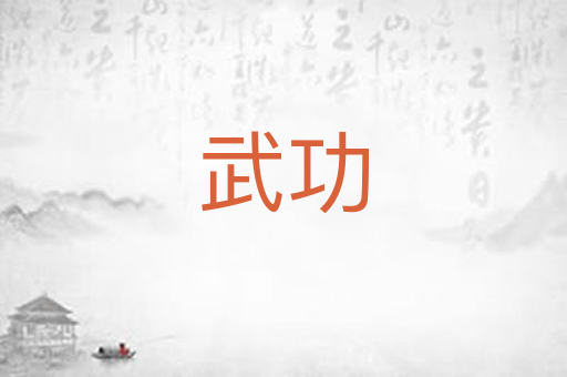 武功